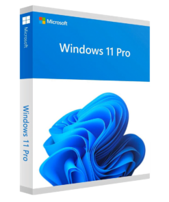 microsoft windows 11 pro 1