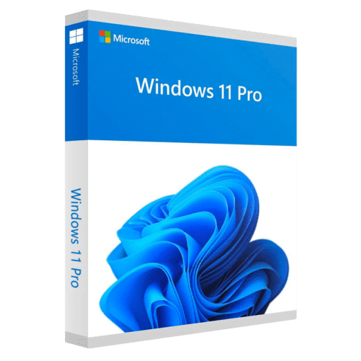 microsoft windows 11 pro 1