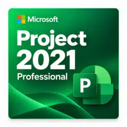 Início 31 project 2021 professional principal
